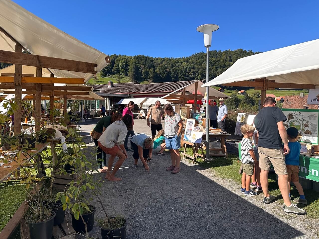 Images for the event